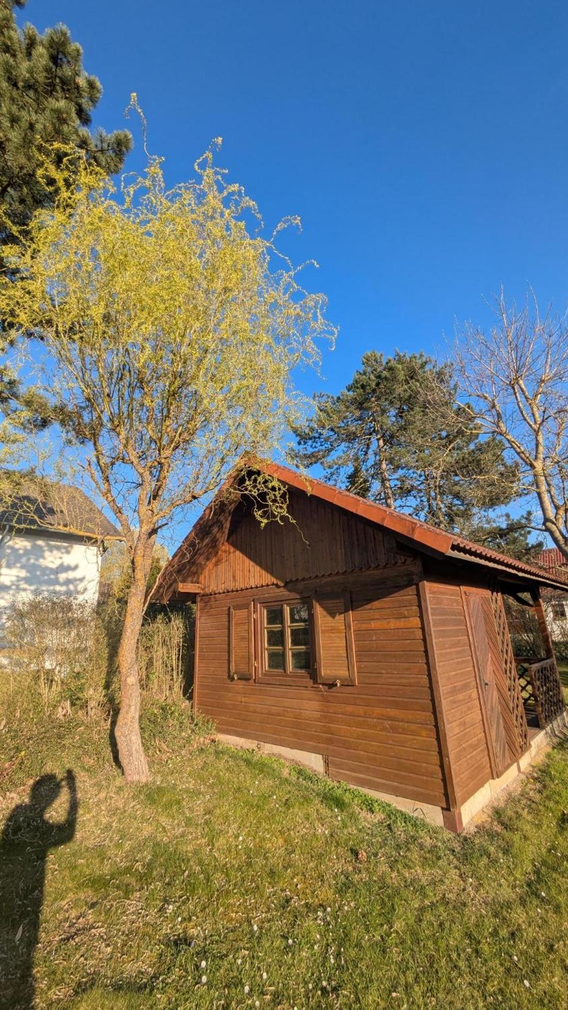 Landhotel Sonneneck - Breuna im Naturpark Exterior foto
