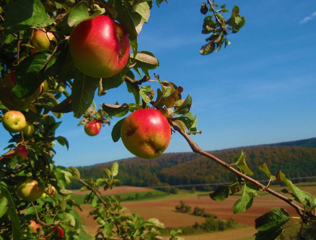 Landhotel Sonneneck - Breuna im Naturpark Exterior foto